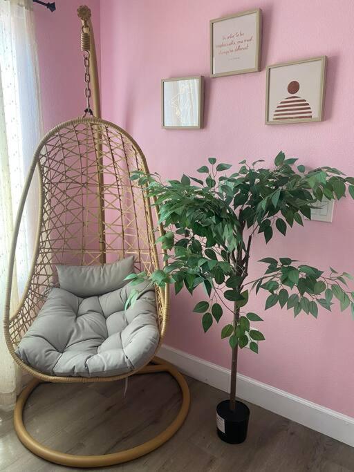 Вілла The Pink House Орландо Екстер'єр фото